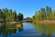 莆田河湖湿地水质改良调节微生物环境修复剂销售