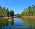 莆田河湖湿地水质改良调节微生物环境修复剂销售