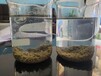 江苏河湖鱼塘绿藻水体快速净化中性无机矿物凝集剂