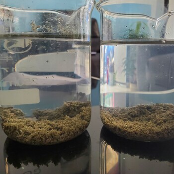 江西河湖鱼塘水体净化无机矿物微生物絮凝剂销售