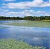 惠州水生態治理工程河道生物底泥改良劑