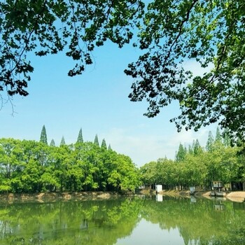 武漢河道水質改良微生物環境修復劑