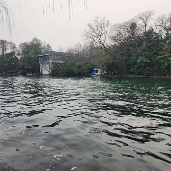 武漢河道水質改良微生物環境修復劑