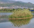 惠州河道生態綜合治理工程底泥團粒改良劑