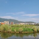 北京城市黑臭水體治理工程生態(tài)底質(zhì)團(tuán)粒改良劑