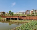 東莞河湖水生態修復工程底泥團粒改良劑