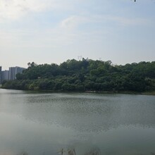 海南水生态治理底泥矿化微生物环境修复剂菌群图片