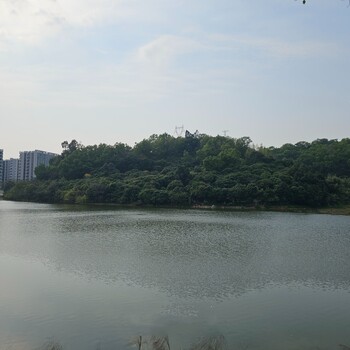 四川水環(huán)境治理工程河道微生物水環(huán)境修復(fù)劑