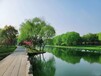 南宁河湖湿地水质调控微生物菌剂