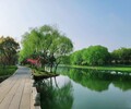重慶水環境治理工程河道原位底泥固化劑