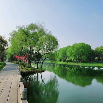 四川水環(huán)境治理工程河道微生物水環(huán)境修復(fù)劑