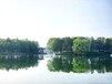 菏泽河道底泥生物修复技术水环境修复剂销售