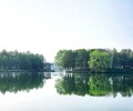 成都河湖生態綜合治理微生物水環境修復劑
