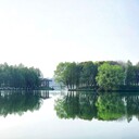 成都河湖生態(tài)綜合治理微生物水環(huán)境修復(fù)劑