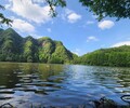 保定河湖濕地水質改良微生物環境修復劑