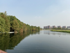 西安河湖湿地水生态修复技术工程EM菌销售