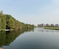 濟南河湖濕地生態修復工程微生物環境修復劑銷售