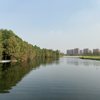 南京河湖湿地水质调控型环境修复剂销售