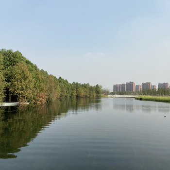 上饒河湖濕地水質改良復合微生物菌劑銷售