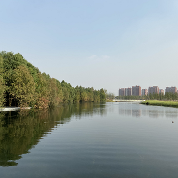 上饶河湖湿地水质改良复合微生物菌剂销售