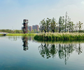 杭州河湖湿地水质改良调节复合微生物菌剂销售