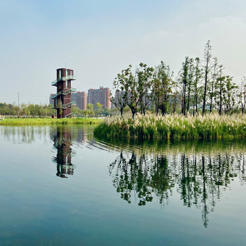 南京河湖湿地生态治理底泥矿化固化生物制剂