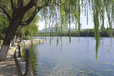唐山河湖湿地治理水质改良微生物环境修复剂