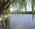 唐山河湖湿地治理水质改良微生物环境修复剂
