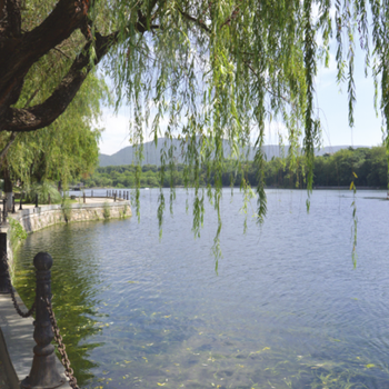 青岛河道湖泊湿地治理工程微生物水环境修复剂