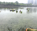 徐州河湖生物生態修復工程底泥團粒改良劑