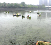 长沙水环境治理工程微生物河道底泥修复剂销售