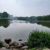 北京河湖湿地水产养殖水质净化底泥改良微生物EM菌