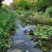 潍坊河道湖泊水环境治理工程微生物氨氮降解剂