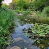 四川城市河湖濕地水質改良微生物環境修復劑