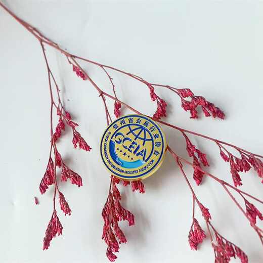 鍍金徽章定做生產(chǎn)免費設(shè)計企業(yè)活動胸針