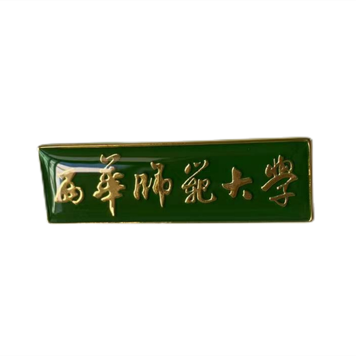 師范大學(xué)胸牌定做鋅合金材質(zhì)來圖來樣徽章廠