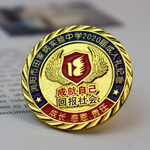 班級(jí)徽章定制畢業(yè)禮品胸針烤漆工藝