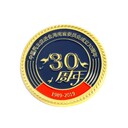 企業(yè)金屬徽章圓形胸針深圳廠家