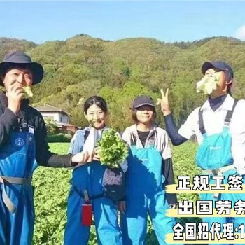 双桥出国劳务签证种植工搬运工3万/月夫妻工