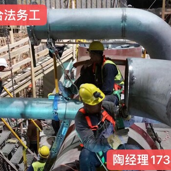 天津宁河丹麦雇主洗碗工水电工建筑工年薪50万