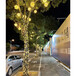 延安街道树木防水串串灯LED彩灯串灯满天星节日亮化装饰灯