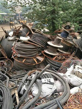 駐馬店廢電纜回收收購全面工程電纜回收