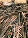 三门峡废导线回收铝电缆回收1米报价