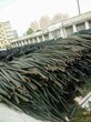 鄢陵县不锈钢回收价格电议回收废旧电缆图片