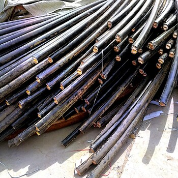 滨海新区高压电缆回收程序及价格库存电缆回收
