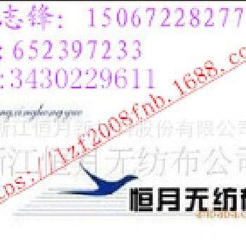 ES壓光無(wú)紡布