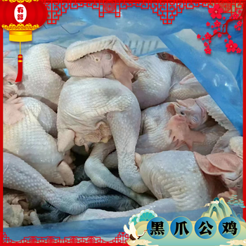 有路黑爪大公鸡冷冻白条鸡厂家供应全国各地板冻袋装
