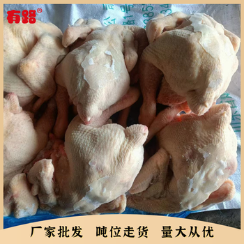 冷冻三黄鸡板冻袋装9.5公斤一件山东冷冻鸡产品加工厂供应