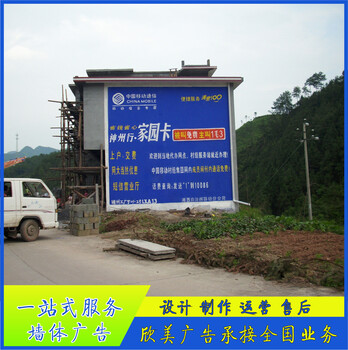 臨沂平邑現(xiàn)代汽車文化墻彩繪山東牡丹店招文化墻民墻貼廣告