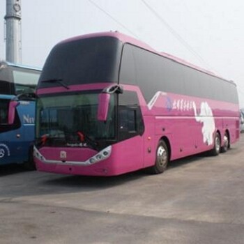 2023西安到榮成汽車(chē)大巴寵物托運(yùn)